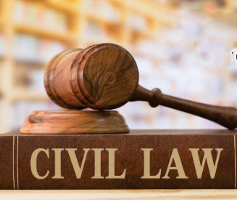 civil-litigation-and--property-disputes
